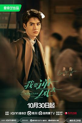 无码专区国产精品久久海报剧照